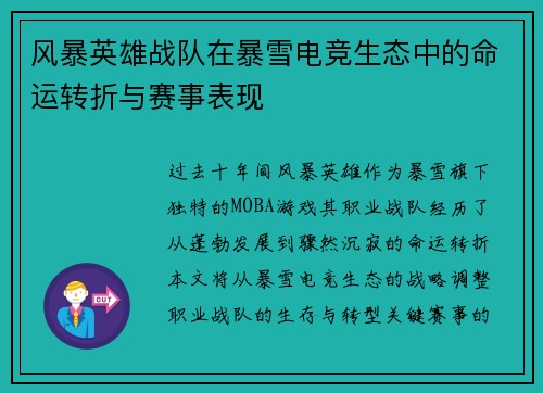 风暴英雄战队在暴雪电竞生态中的命运转折与赛事表现